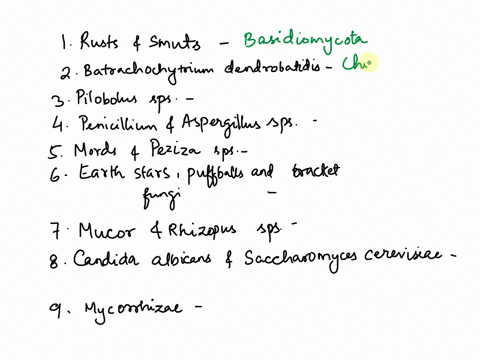 match-the-examples-with-the-appropriate-phylum-enter-the-correct-letter-in-each-field-below-a-ascomycota-basidiomycota-chytridiomycota-glomeromycota-e-zygomycota-ftype-your-ansier-here-rusts-00827
