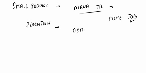 which-statement-best-describes-the-relationship-of-the-small-ribosomal-subunit-to-the-mrna-strand-they-are-both-composed-of-rna-and-protein-the-small-subunit-has-an-mrna-binding-site-they-bo-02004