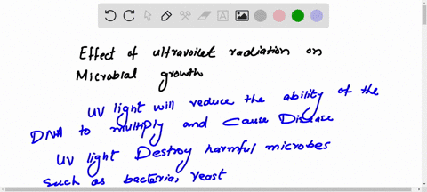 lab-2-12-the-effect-of-ultraviolet-radiation-on-microbial-growth-uv-24-hour-b-subtilis-24-hour-b-subtilis-day-b-subtilis-e-coli-ecoli-exposure-minutes-day-subtilis-side-a-side-b-side-a-side-01957
