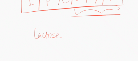 transcription-of-the-lac-operon-is-maximal-when-a-lactose-is-absent-and-glucose-is-present-b-lactose-is-absent-and-glucose-is-absent-c-lactose-is-present-and-glucose-is-present-d-lactose-is-50841