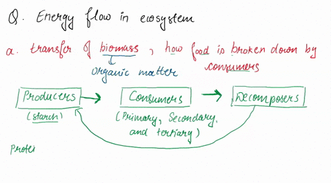 can-someone-please-help-me-here-energy-flow-in-ecosystems-short-writing-active-prompt-use-the-modeb-heie-to-describe-the-transfer-of-matter-and-flow-of-energy-from-one-trophic-evel-to-anothe-15525