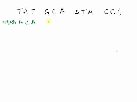 use-the-codon-wheel-above-to-determine-the-sequence-of-amino-acids-coded-for-by-this-section-of-dna-tat-g-c-a-ata-ccg-type-the-mrna-sequence-that-would-match-this-set-of-codons-now-provide-t-62023
