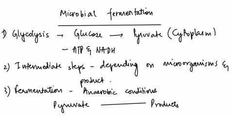 2-fully-discuss-the-structure-and-function-of-enzymes-3-state-two-ways-in-which-anaerobic-respiration-differs-from-aerobic-respiration-4-summarize-the-steps-of-microbial-fermentation-and-lis-59001