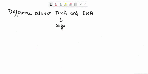 name-two-differences-between-dna-and-rna-4-pts-in-dna-_bla-bla-while-in-rna-bla-bla-that-counts-s-difference-you-need-two_-for-example-47-in-the-1920s-while-working-with-streptococcus-pneumo-95611