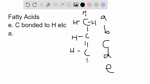 which-statement-about-fatty-acids-is-false-question-13-options-they-consist-of-a-chain-of-carbon-and-hydrogen-atoms-with-an-acid-group-on-one-end-and-a-methyl-group-at-the-other-end-fatty-ac-27845