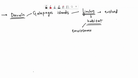 finches-found-on-the-isolated-galapagos-island-are-different-species-with-different-beak-sizes-and-shapes-but-are-otherwise-similar-to-a-finch-species-found-on-the-south-american-mainland-wh-72376