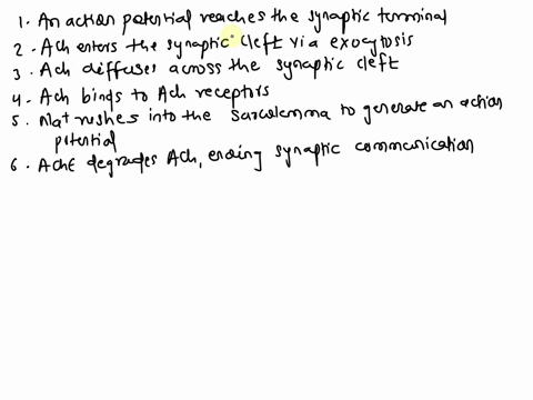 l-2301assignmentschapter-10-homework-pter-10homework-chapter-10-homework-potlight-figure-1010neuromuscular-junctionnmj-part-d-ranking-the-order-of-events-at-the-nmj-below-are-boxes-showing-t-45732