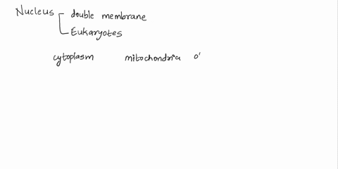 nucleus-is-the-structure-within-a-cell-that-carries-the-genetic-material-for-inheritance-it-is-found-in-the-_____-and-the-_____-of-the-cell-the-nucleus-determines-structure-and-function-of-t-38297