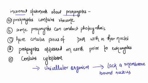 which-of-the-following-statements-about-prokaryotes-is-incorrect-a-prokaryotes-contain-ribosomes-b-s-55828