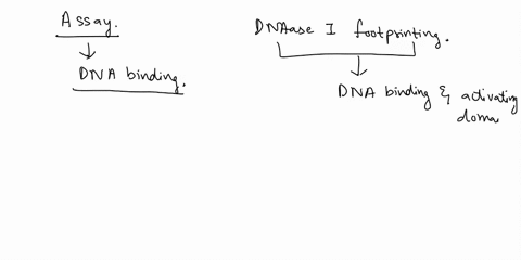 what-assay-uses-the-fact-that-activators-can-be-separated-into-dna-binding-and-activating-domains-what-information-do-you-gain-from-this-assay-describe-briefly-how-to-perform-this-assay-47494