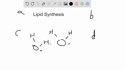 lipids-suchs-as-triglycerides-are-made-of-glycerol-and-3-fatty-acids-these-parts-are-bonded-together-by-removing-oh-from-one-molecule-and-h-from-the-other-these-then-make-water-this-process-96959