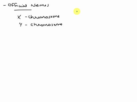 what-is-the-official-name-for-the-x-and-y-chromosomes-37003