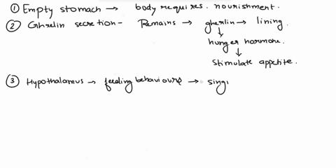 place-in-order-the-proper-sequence-of-events-for-the-process-of-sensation-of-hunger-to-satiety-empty-stomach-ghrelin-secreted-hypothalamus-initiates-feeding-behaviors-cholecystokinin-release-48226