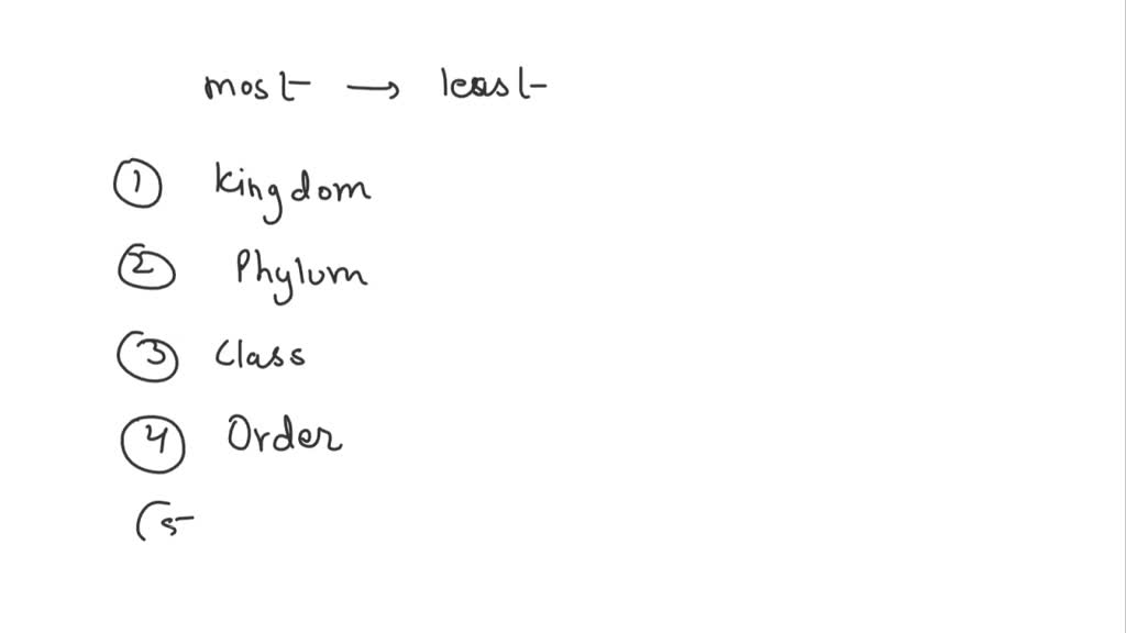 SOLVED The correct sequence from the most to the least comprehensive