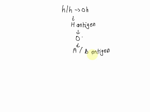 an-individual-with-bo-hh-phenotype-cannot-receive-blood-from-an-individual-with-ao-hh-phenotype-true-or-false-66134
