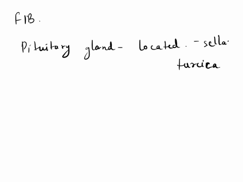 the-pituitary-gland-also-known-as-the-__________-is-located-in-the-sella-turcica-of-the-sphenoid-bone-00518