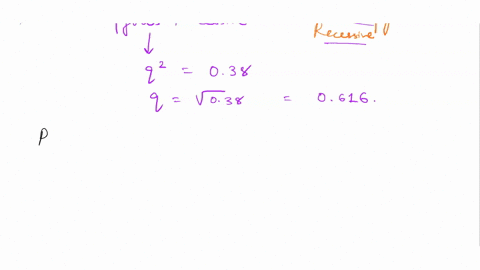 p2-2pq-q2-1-in-a-population-that-is-in-hardy-weinberg-equilibrium-38-of-the-individuals-are-homozygous-recessive-for-a-certain-trait-in-a-population-of-14500-individuals-calculate-the-percen-39468