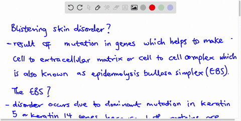 mutations-in-genes-that-code-for-some-hemidesmosome-proteins-can-produce-a-similar-phenotype-in-patients-as-mutations-in-genes-that-code-for-desmosome-proteins-explain-why