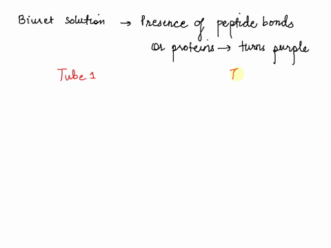 you-set-up-an-experiment-with-two-tubes-both-tubes-contain-amylase-and-one-tube-contains-milk-protein-after-incubation-when-you-add-biuret-solution-both-tubes-turn-purple-explain-these-resul-74192