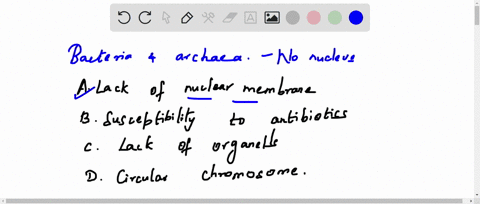 question-bacteria-and-archaea-as-prokaryotes-and-not-eukaryotes-select-all-that-apply-which-of-the-following-characteristics-are-used-to-distinguish-selected-answers-lack-of-nuclear-membrane-50954