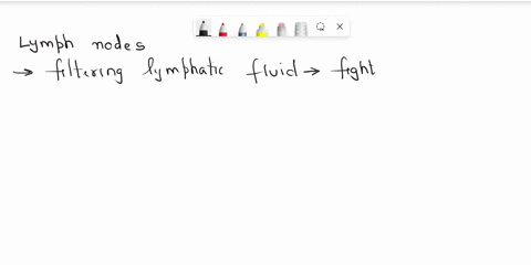 lymph-nodes-are-responsible-for-filtration-and-activating-the-immune-system-true-false-question7-which-of-the-following-statements-is-true-of-lymph-nodes-they-filter-the-blood-found-in-the-l-64482