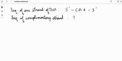 q45-one-strand-of-dna-has-the-sequence-5-cga-3-what-is-the-sequence-of-the-complementary-strandimportant-pay-attention-to-5-and-3-labels-in-your-answera-5-tcg-3b-5-cga-3c-5-gct-3d-5-agc-3-q4-11059