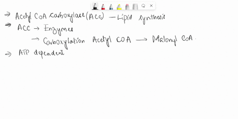 acetyl-coa-carboxylase-acc-is-an-important-enzyme-involved-in-lipid-synthesis-describe-the-pathway-and-explain-in-detail-what-role-it-plays-in-lipid-synthesis-and-whats-the-consequence-of-th-08193