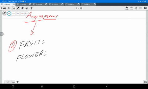 which-of-the-following-traits-are-unique-to-angiosperms-and-absent-in-the-other-plant-groups-choose-all-that-apply-24485