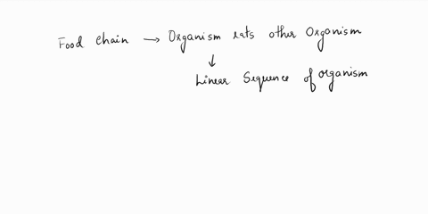all-the-complex-feeding-relationships-among-a-number-of-different-organisms-make-up-the-_____-food-chain-ecosystem-food-web-04632