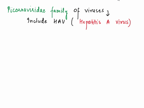 what-family-does-hav-belong-to-15808
