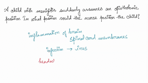 a-child-with-meningitis-suddenly-assumes-an-opisthotonic-position-in-what-position-should-the-nurse-position-the-child-80154