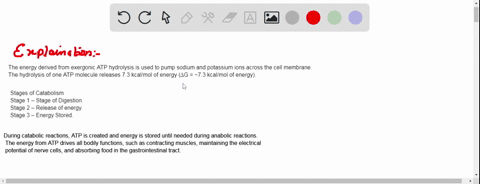 describe-three-stages-of-catabolism-and-the-role-of-atp-how-much-energy-is-obtained-from-the-hydroly-26877
