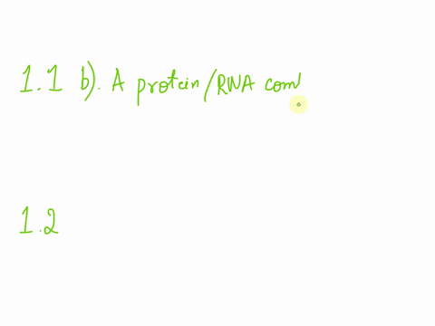 11-what-is-the-best-description-of-a-ribosome-a-an-enzyme-that-uses-ribose-to-synthesize-amino-acids-b-a-proteinrna-complex-that-synthesizes-protein-c-a-ribozyme-that-uses-rna-as-an-enzyme-t-97165