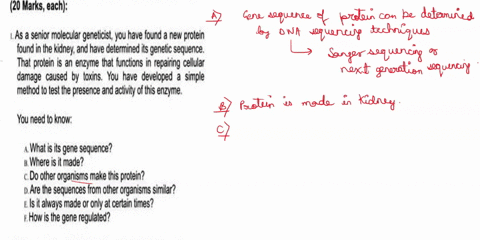 give-a-short-answer-for-each-of-the-following-questions-20-marks-each-as-a-senior-molecular-geneticist-you-have-found-a-new-protein-found-in-the-kidney-and-have-determined-its-genetic-sequen-76694