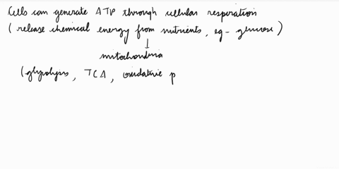 cells-generate-atp-from-the-release-of-chemical-energy-from-nutrients-whereas-chlorophyll-containing-organisms-generate-atp-via-the-light-dependent-reactions-of-photosynthesis-as-well-as-fro-03194