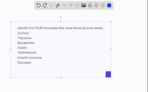 identify-the-four-hormones-that-raise-blood-glucose-levels-cortisol-thyroxine-epinephrine-insulin-testosterone-growth-hormone-glucagon-23894