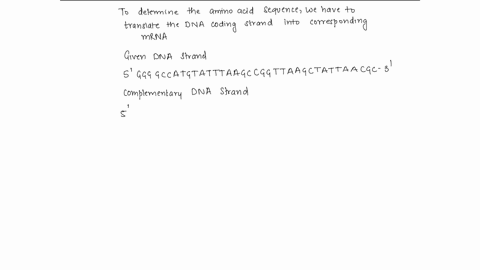 use-the-following-dna-coding-strand-to-answer-the-question-5-ggggccatgtatttaagccggttaagctattaacgc-3-assume-there-was-a-single-base-pair-substitution-of-the-third-nucleotide-in-the-fourth-tri-35586