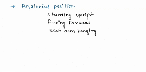 which-of-the-following-is-not-characteristic-of-proper-anatomical-position-head-facing-the-side-arms-at-sides-palms-facing-forward-feet-pointed-forward-standing-54645