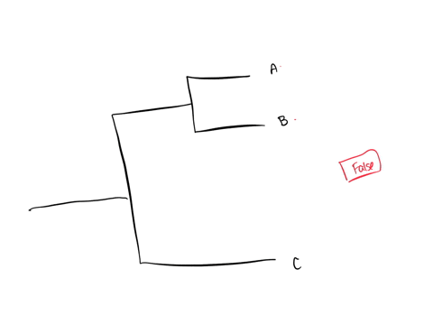 the-more-closely-related-two-species-are-the-longer-the-distance-on-a-phylogenetic-tree-to-the-two-species-most-recent-common-ancestor-1-true-2-false