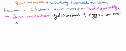 what-does-it-mean-if-a-cells-plasma-membrane-is-semipermeable-the-membrane-has-no-control-over-what-passes-into-or-out-of-the-cell-the-membrane-can-sometimes-illow-substances-to-pass-dependi-21686