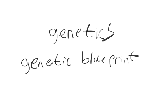 1-in-your-own-words-describe-the-influences-of-heredity-on-human-development