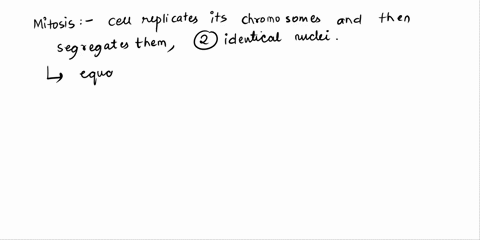 do-all-cells-in-an-organism-reproduce-through-mitosis-yes-or-no-70449