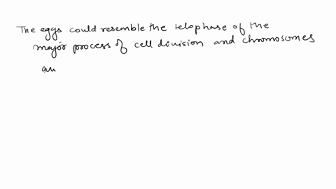 13-d-structure-o-proteins-pre-acuvuty-assignment-indical-much-prct-reading-outline-tor-the-chapter-molemn-srucrurc-instrucio-olthe-types-of-secondary-and-emrhi-n-ccon-nc-ranachandfan-plot-tr-49959