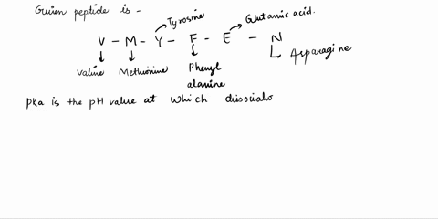 v-m-y-f-e-n-this-is-the-single-letter-amino-acid-abbreviation-for-a-peptide-what-is-the-net-charge-o-67713