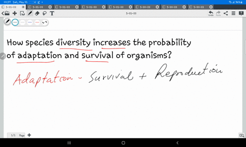 how-species-diversity-increases-the-probability-of-adaptation-and-survival-of-organisms-33595
