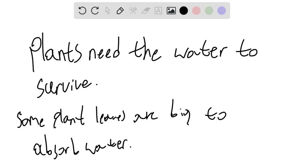SOLVED In a dense forest, trees compete with one another for space to