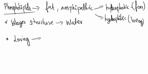 which-lipid-is-found-in-the-cell-membrane-of-every-organism-61143