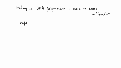 briefly-describe-why-synthesis-of-the-leading-strand-is-continuous-and-synthesis-of-the-lagging-strand-of-dna-discontinuous-96882