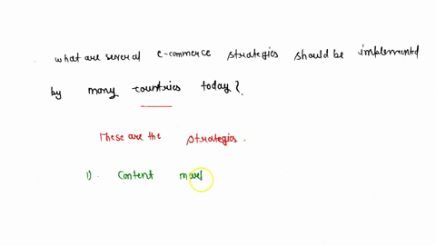 what-are-several-e-business-and-e-commerce-strategies-and-applications-that-should-be-developed-and-implemented-by-many-companies-today-explain-your-reasoning-19274