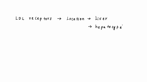 1501-question-19-where-in-the-body-does-the-vast-majority-ol-ldl-bindng-to-cholesterol-occur-15162